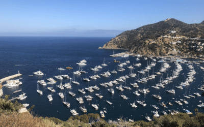California Staycation